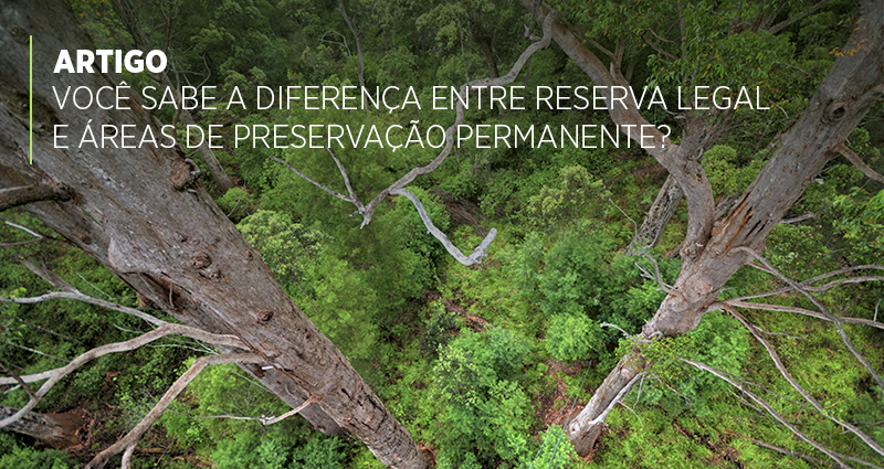 Você sabe a diferença entre Reserva Legal e Áreas de Preservação Permanente?
